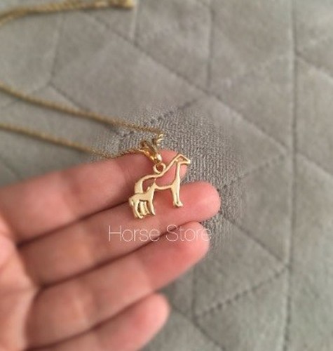 Colar Family Equestrian