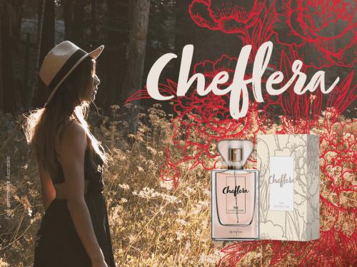 Cheflera - Deo Colônia
