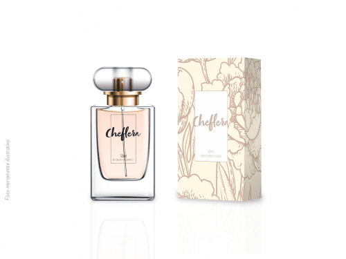 Cheflera - Deo Colônia