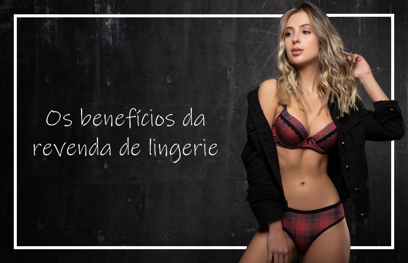 Por que revender lingerie?
