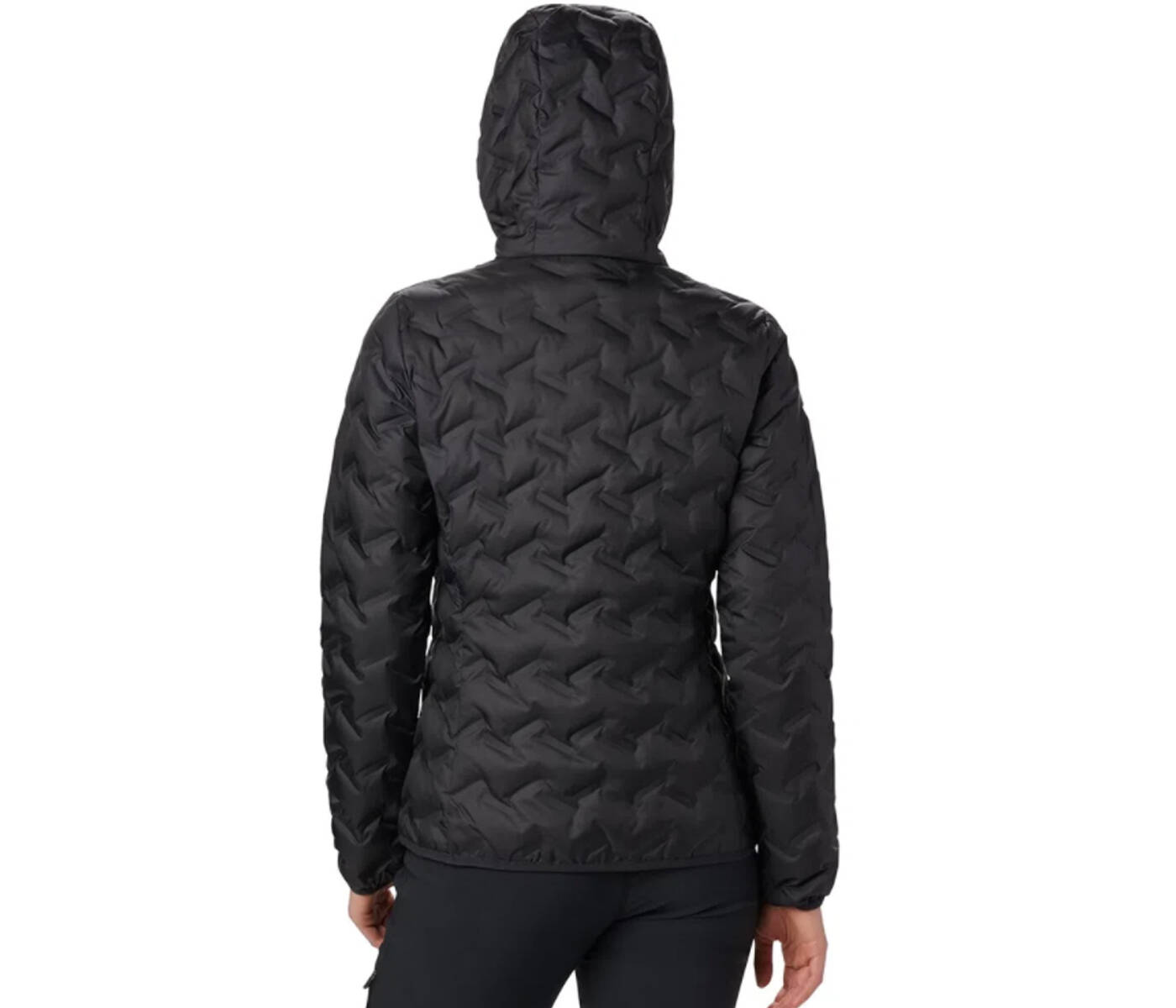 Jaqueta Delta Ridge Hooded - Columbia